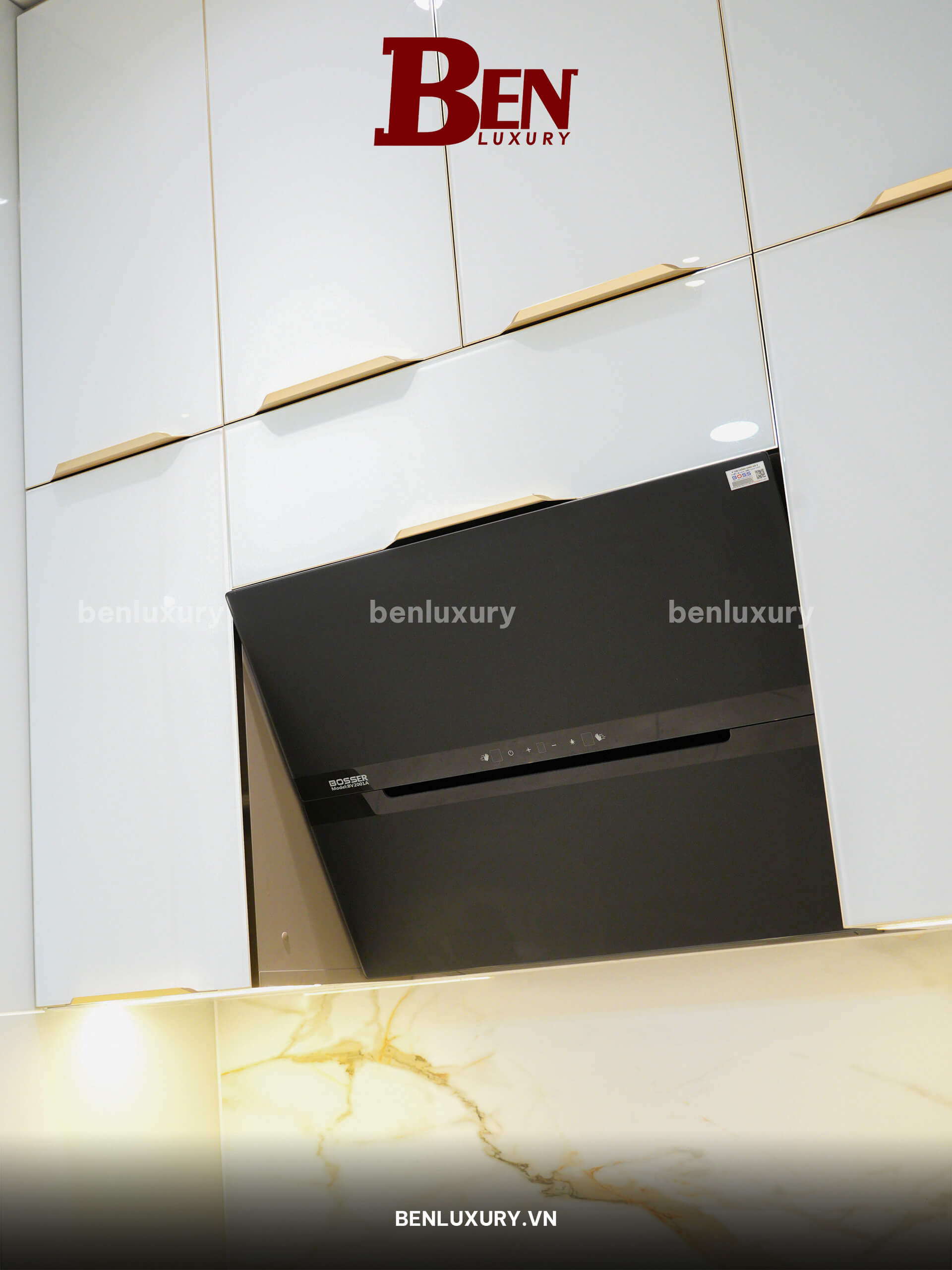 benluxury ban giao du an nguyen tam va hau nhom to ong tai go vap 18